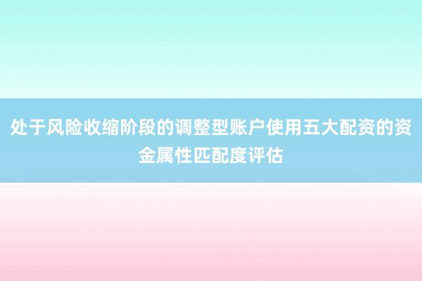处于风险收缩阶段的调整型账户使用五大配资的资金属性匹配度评估