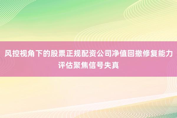 风控视角下的股票正规配资公司净值回撤修复能力评估聚焦信号失真