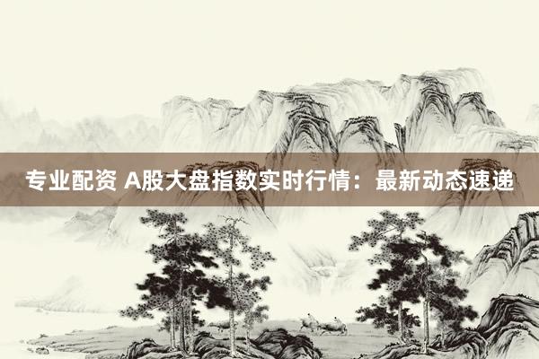 专业配资 A股大盘指数实时行情：最新动态速递