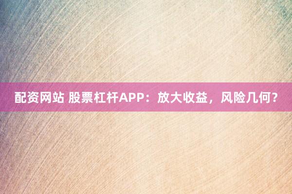 配资网站 股票杠杆APP：放大收益，风险几何？